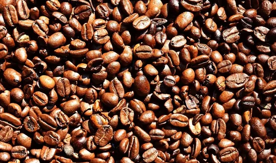 Chocolate Fish Coffee Roasters