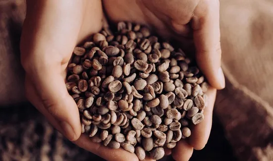 enzyme coffee for weight loss