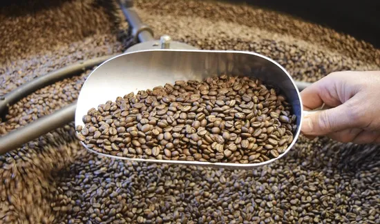 BLDG 6 Coffee Roasters