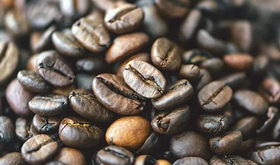 Stupid Good Coffee