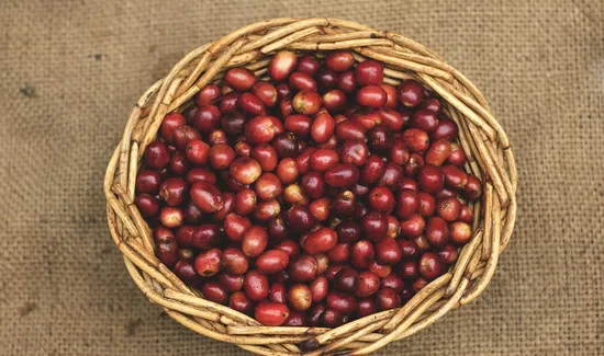 Choosing-the-right-low-acid-coffee