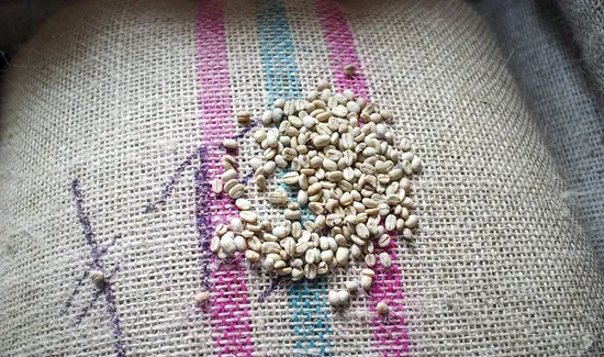 Unroasted-coffee-beans