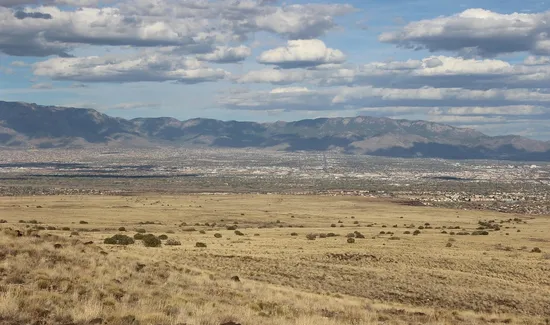 Albuquerque-top-7-coffee-shops