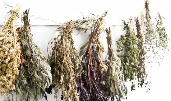 Top-Healthiest-Teas-for-a-Nourishing-Lifestyle-1
