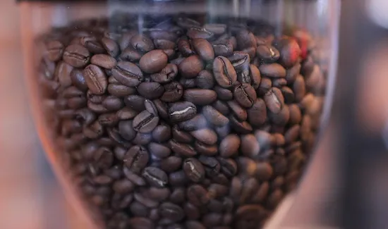 unroasted-bean-birth