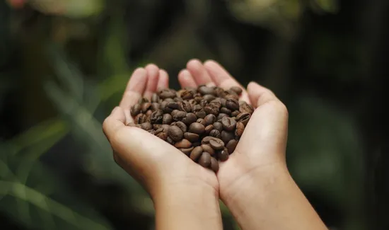 Why Starbucks Coffees are So Expensive