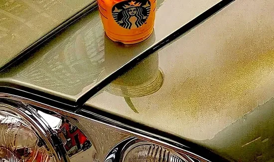 Starbucks Coffee Sourcing