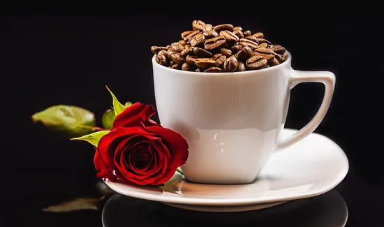Dixon Coffee Company