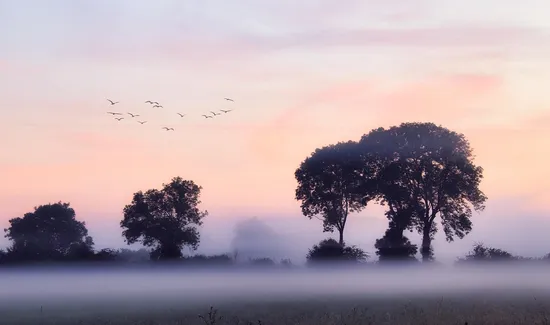 Sound and Fog
