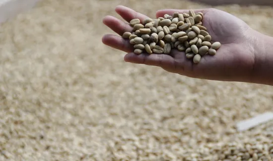 The Tipping Point-coffee-shop-in-houston