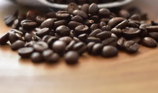 Best Time of Year to Plant Coffee Beans