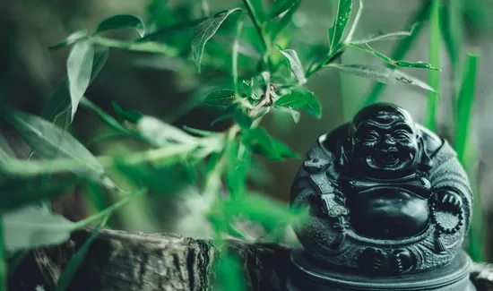Buddha's Brew