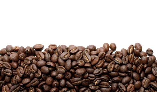 Wild-coffee-shop-in-houston
