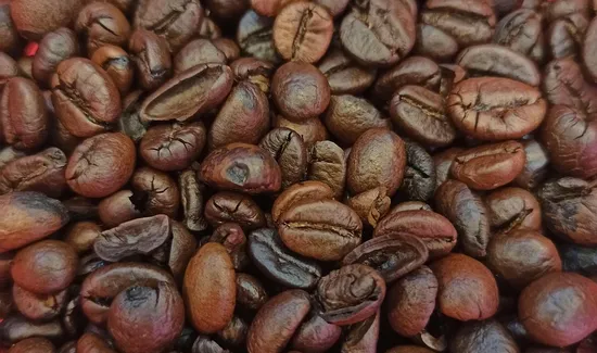 Koyote Koffee