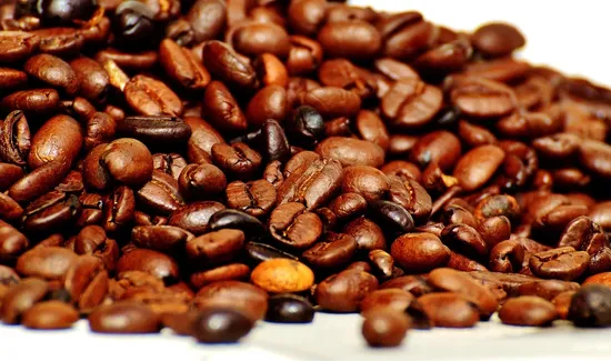 Coffee for Sasquatch-coffee-shop-in-la