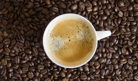 Bold Bean Coffee Roasters