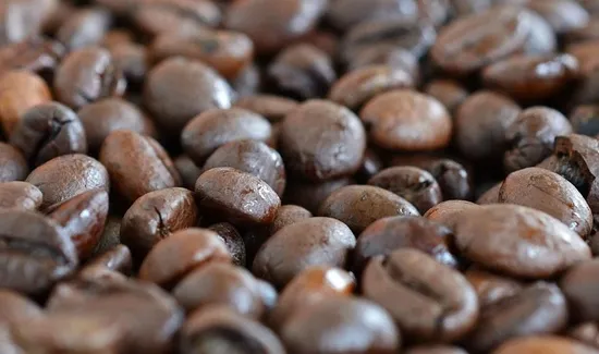 Mothership Coffee Roasters