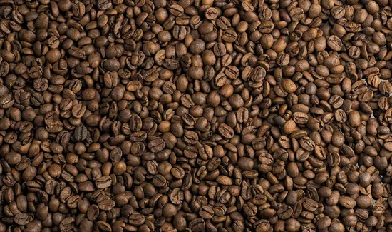 Elegy Coffee