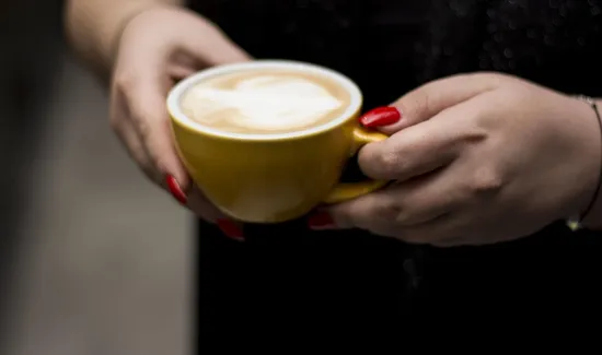 what-are-the-ingredients-involved-in-mocha