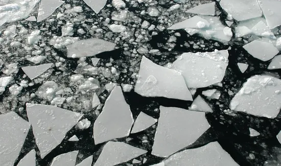 Starbucks' Global Expansion