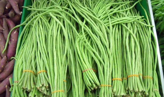 Understanding Green Coffee Beans