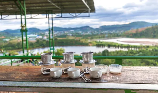 How to Water Coffee Beans