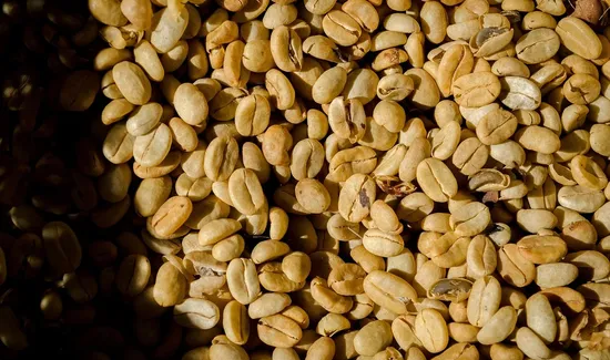 Birch Coffee-shop