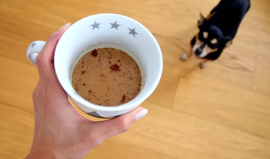 Preventing Dogs from Ingesting Coffee Grounds