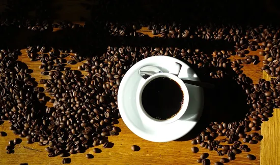 Bloom and Plume Coffee-coffee-shop-in-la