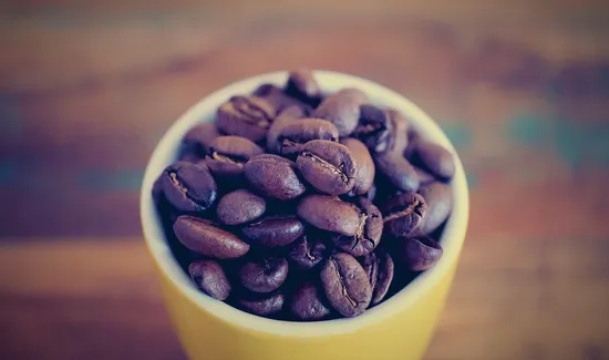 Stauf's Coffee Roasters