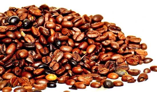 Roast Rider Coffee & Tea