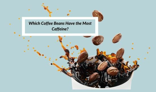 Which Coffee Beans Have the Most Caffeine?