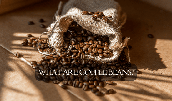 what are coffee beans