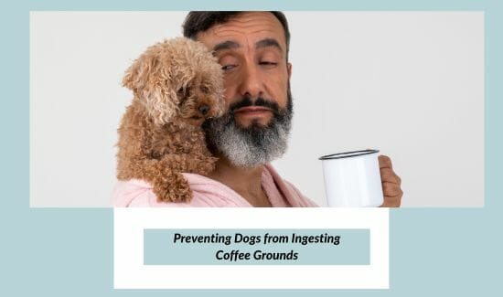 Preventing Dogs from Ingesting Coffee Grounds