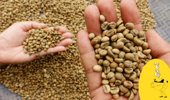 Different Methods of Grinding Green Coffee Beans