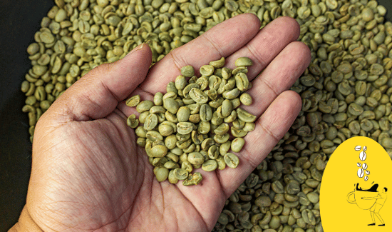 Can-You-Grind-Green-Coffee-Beans
