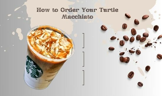How to Order Your Turtle Macchiato