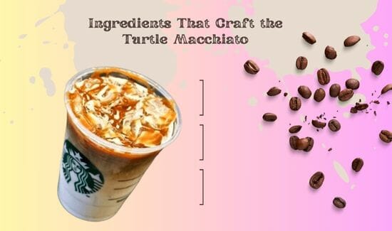 Ingredients That Craft the Turtle Macchiato