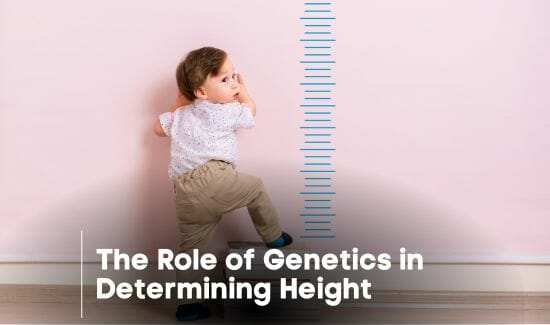The Role of Genetics in Determining Height
