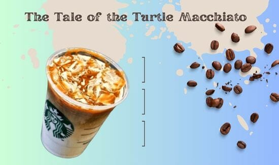 The Tale of the Turtle Macchiato